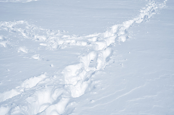 포토 JPG 해외이미지 계절 백그라운드 겨울 패턴 자연 벽지 새로움 바닥 그림자 사람없음 야외 빛 얼음 추위 수확 흰색 신선 눈송이 닫기 매끈함 시원함 12월 크리스탈 묘사 질감 서리 부드러움 1월 내추럴 2월 깊이 제설기 눈내림 해외202004 해외포토 자연요소 컬러 컨셉 무늬 농업 모션 눈_날씨 감각 날짜 광석 생태계 제설 파일형식 이미지허브