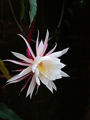 포토 JPG 해외이미지 사람없음 해외202004 해외포토 파일형식 이미지허브