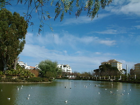 포토 JPG 해외이미지 나무 동물 공원 호수 야생동물 잎 자연 조류 하늘 호텔 액자틀 풍경 사람없음 야외 건물 물 조경 장면 해외202004 해외포토 자연요소 식물 건축물 공공시설 액자 숙소 틀 생태계 파일형식 이미지허브