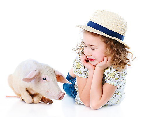 포토 JPG 해외이미지 동물 백인 1 라이프스타일 계절 여자 행복 어린이 가족 주택 털 사랑 한명 사람 농장 동전 우정 시골 표현 잡기 돼지 농부 먹기 기아 투자 솜털 돌봄 수유 천진난만 초보 카피스페이스 해외202004 해외포토 서양인 직업 감정 컨셉 돈 농업 비즈니스 포유류 관계 모션 건물 생활 친구 공백 사회이슈 파일형식 이미지허브