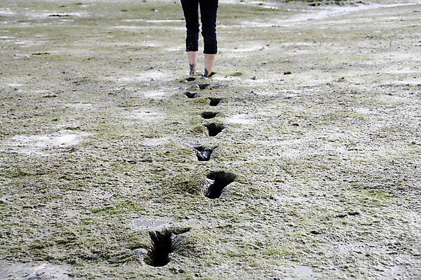 포토 JPG 해외이미지 모래 바다 맨발 발 휴가 건강 한명 해변 야외 물 모래사장 걷기 하이킹 프랑스 습지 발자국 진흙 대서양 방법 양발 해일 해외202004 해외포토 자연요소 1 유럽 자국 모션 레저 사람 신체부위 자연재해 파일형식 이미지허브