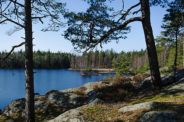 포토 JPG 해외이미지 나무 공원 호수 섬 백그라운드 하늘 스웨덴 풍경 사람없음 초록색 물 여름 파란색 컬러풀 반사 환경 침묵 봄 소나무 숲 장면 삼림지대 해외202004 해외포토 자연요소 식물 계절 공공시설 컬러 북유럽 소리 파일형식 이미지허브