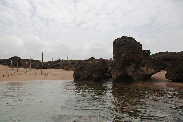 포토 JPG 해외이미지 나무 구름 모래 파도 바다 섬 여행 자연 하늘 휴가 휴식 풍경 해변 사람없음 야외 물 여름 파란색 햇빛 태양 침묵 만 장면 대서양 석호 공화국 터키석 수평선 해외202004 해외포토 자연요소 식물 계절 나라 컬러 컨셉 소리 보석 생태계 파일형식 이미지허브
