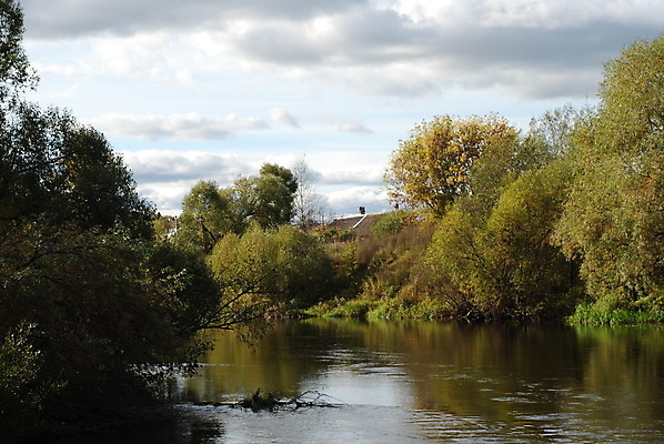 포토 JPG 해외이미지 나무 구름 자연 하늘 사람없음 야외 물 강 가을 러시아 지역 모스크바 해외202004 해외포토 자연요소 식물 계절 유럽 생태계 파일형식 이미지허브