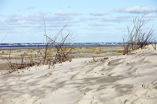 포토 JPG 해외이미지 식물 호수 모래 파도 바다 여행 백그라운드 자연 하늘 휴가 건조 파노라마 풍경 사람없음 야외 물 여름 관광지 햇빛 만 고독 모래언덕 열대기후 수평선 카피스페이스 해외202004 해외포토 자연요소 계절 감정 촬영기법 태양 공백 언덕 생태계 파일형식 이미지허브
