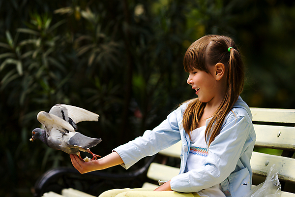 포토 JPG 해외이미지 백인 1 손 공원 행복 어린이 음식 빵 잎 날개 벤치 조류 친절 종류 한명 미소 웃음 야외 여름 평화 믿음 우정 회색 잡기 먹기 깃털 비둘기 팔 나눔 수유 해외202004 해외포토 서양인 식물 동물 계절 공공시설 감정 컬러 컨셉 의자 모션 표정 사람 신체부위 친구 파일형식 이미지허브