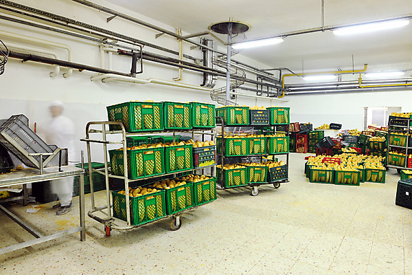 포토 JPG 해외이미지 전신 공장 실내 한명 서기 사람 쌓기 바구니 수레 운반 담기 해외202004 해외포토 1 공업 모션 내부 카트 파일형식 이미지허브