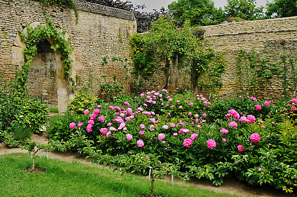 포토 JPG 해외이미지 공원 유럽 자연 사람없음 관광지 정원 프랑스 역사 그림 노르망디 해외202004 해외포토 공공시설 나라 여행 생태계 파일형식 이미지허브