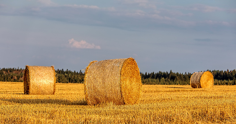 포토 JPG 해외이미지 주간 구름 농업 하늘 풍경 사람없음 야외 농경지 짚더미 뭉치 해외202004 해외포토 자연요소 산업 농장 볏짚 파일형식 더미 이미지허브