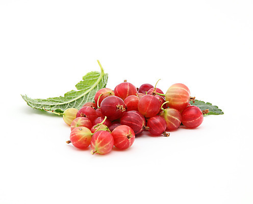 포토 JPG 해외이미지 열매 음료 음식 백그라운드 잎 다이어트 채소 과일 자연 디저트 3 사람 사람없음 빨간색 초록색 금지 흰색 신선 그룹 달콤 맛 작음 6 오브젝트 상쾌 고립 구스베리 채식주의자 해외202004 해외포토 식물 감정 컬러 컨셉 건강 숫자 크기 생태계 채식 파일형식 이미지허브