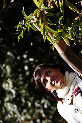 포토 JPG 해외이미지 나무 공원 여자 잎 자연 휴식 한명 사람 야외 기쁨 아내 해외202004 해외포토 식물 1 공공시설 감정 컨셉 생태계 파일형식 이미지허브