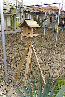 포토 JPG 해외이미지 나무 동물 계절 공원 야생동물 자연 조류 하늘 지붕 주택 앉기 사람없음 야외 건물 목재 상자 농장 농경지 정원 봄 시골 구멍 둥지 깃털 새장 내추럴 해외202004 해외포토 식물 건축물 공공시설 농업 재료 모션 생태계 케이지 파일형식 이미지허브