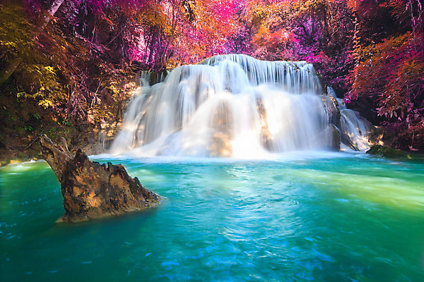 포토 JPG 해외이미지 나무 식물 공원 백그라운드 잎 모션 태국 자연 휴가 휴식 국립공원 풍경 사람없음 목재 초록색 물 강 수영 봄 활발 폭포 젖음 흐름 성장 가을 신선 개울 숲 시원함 순수 즐거움 천국 이국적 파라다이스 해외202004 해외포토 자연요소 계절 공공시설 감정 아시아 컬러 컨셉 재료 수상스포츠 생태계 파일형식 이미지허브