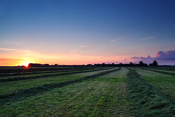 포토 JPG 해외이미지 구름 별 선 분홍색 밭 하늘 아침 따뜻함 풍경 사람없음 야외 초록색 여름 파란색 햇빛 농장 농경지 일출 일몰 시골 업무 볏짚 자르기 속도 네덜란드 클립 줄서기 목가 해외202004 해외포토 주간 자연요소 계절 유럽 컬러 농업 모션 태양 노을 작업 짚 파일형식 이미지허브