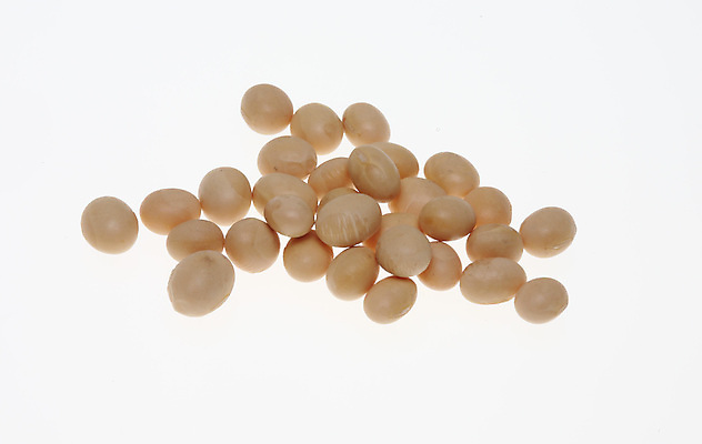 포토 JPG 해외이미지 식물 음식 채소 사람없음 농작물 유기농 꼬투리 대두 채식주의자 비건 해외202004 해외포토 웰빙 농업 채식 파일형식 이미지허브