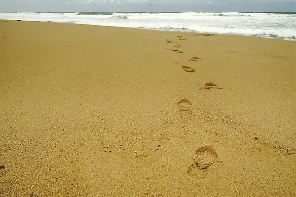 포토 JPG 해외이미지 길 모래 바다 여행 자국 자연 사람 해변 사람없음 야외 물 모래사장 산책 자유 탐험 인쇄 발자국 질감 단계 선로 양발 혼자 각인 해외202004 해외포토 자연요소 컨셉 휴식 생태계 파일형식 이미지허브