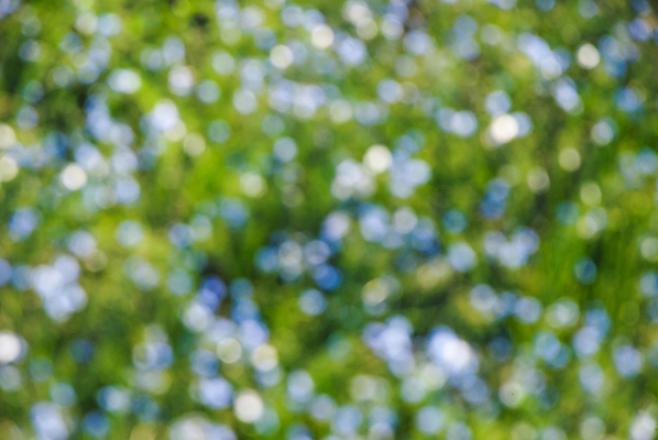 포토 JPG 해외이미지 디자인 별 백그라운드 겨울 사람없음 장식 초록색 파란색 반짝임 축제 흰색 원형 보케 해외202004 해외포토 자연요소 도형 계절 컬러 모션 파일형식 이미지허브