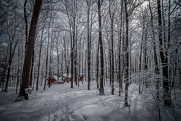 포토 JPG 해외이미지 나무 계절 단풍 캐나다 겨울 자국 자연 지붕 날씨 주택 사람없음 야외 초록색 파란색 얼음 산책로 추위 흰색 신선 황무지 숲 트랙 깊이 판잣집 해외202004 해외포토 자연요소 식물 길 컬러 잎 북아메리카 건물 생태계 파일형식 이미지허브