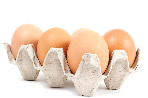 포토 JPG 해외이미지 음식 백그라운드 세포 건강 사람없음 갈색 계란 저녁식사 치킨 흰색 신선 그룹 컨테이너 먹기 팩 패키지 오믈렛 판지 고립 생식 식용 해외202004 해외포토 산업 컬러 모션 알 식사 화장품 계란요리 닭고기요리 파일형식 이미지허브