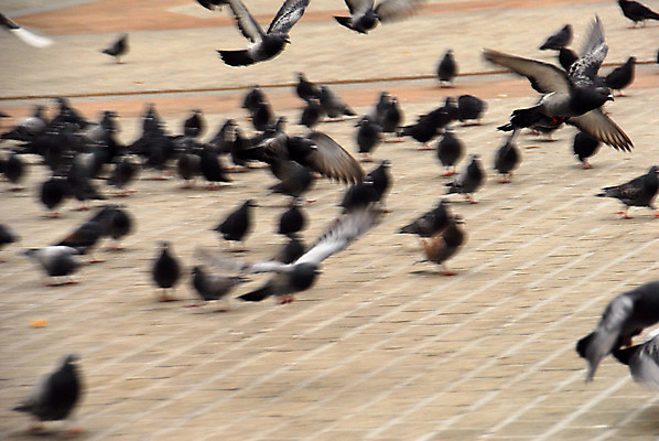 포토 JPG 해외이미지 어린이 겨울 사람없음 폴란드 크라쿠프 많음 해외202004 해외포토 계절 유럽 컨셉 사람 파일형식 이미지허브