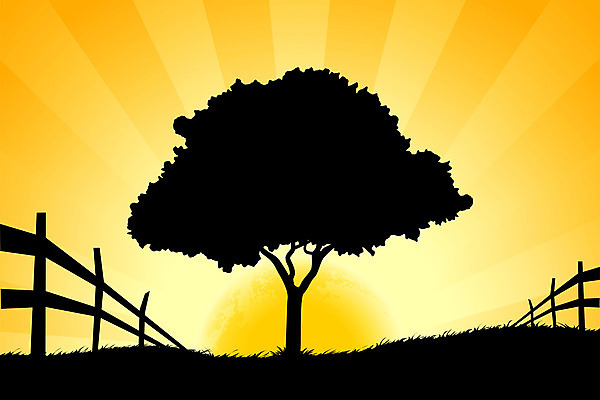 포토 JPG 해외이미지 나무 백그라운드 밭 일러스트 자연 하늘 풍경 사람없음 야외 태양 일출 환경 맑음 광선 땅 수평선 해외202004 해외포토 자연요소 식물 농업 날씨 노을 생태계 파일형식 이미지허브