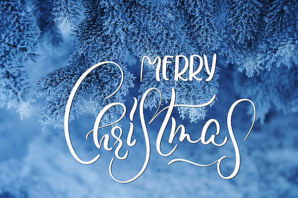 포토 JPG 해외이미지 백그라운드 크리스마스 추상 크리스마스카드 사람없음 파란색 축하 솔잎 레터링 해외202004 해외포토 기념일 컬러 컨셉 잎 무늬 카드_감사 파일형식 이미지허브