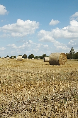 포토 JPG 해외이미지 주간 밭 농업 하늘 풍경 사람없음 야외 여름 파란색 갈색 노란색 쌓기 수확 시골 건초더미 밀 롤 8월 리투아니아 밭일 압축 수평선 해외202004 해외포토 자연요소 계절 유럽 산업 컬러 모션 곡류 날짜 건초 파일형식 더미 이미지허브
