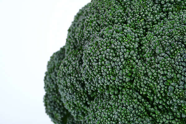 포토 JPG 해외이미지 음식 줄기 잎 다이어트 채소 건강 요리 사람없음 초록색 컬러풀 요식업 저녁식사 흰색 신선 최고 고명 몸무게 브로콜리 날씬함 유기농 날것 칼로리 섬유 성분 내추럴 점심식사 고립 식욕 적자 해외202004 해외포토 식물 웰빙 산업 컬러 식사 직물 몸매 파일형식 이미지허브