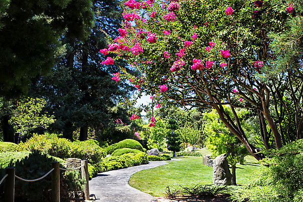포토 JPG 해외이미지 나무 식물 계절 공원 꽃잎 꽃 길 잎 자연 휴식 동양인 풍경 사람없음 야외 초록색 컬러풀 평화 정원 일본 봄 벚꽃 바위 연못 신선 개화 개울 숲 당구 명상 만족 암초 해외202004 해외포토 공공시설 감정 아시아 컬러 컨셉 인종 강 구기 돌_바위 생태계 파일형식 이미지허브