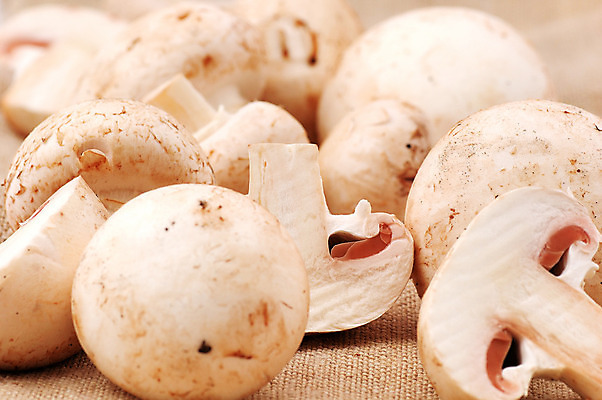 포토 JPG 해외이미지 음식 조각 다이어트 채소 과일 자연 건강 요리 사람없음 컵 주방 요리사 저녁식사 버섯 흰색 신선 맛 먹이 먹기 메뉴 준비 유기농 날것 슬라이스 레시피 성분 내추럴 수유 해외202004 해외포토 직업 식기 웰빙 컬러 컨셉 모션 식사 생태계 파일형식 이미지허브