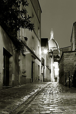 포토 JPG 해외이미지 나무 가로등 건축양식 흑백 풍경 사람없음 야외 건물 빛 프랑스 골목길 야간 파리_프랑스 해외202004 해외포토 자연요소 식물 건축물 공공시설 건축 유럽 길 촬영기법 파일형식 이미지허브