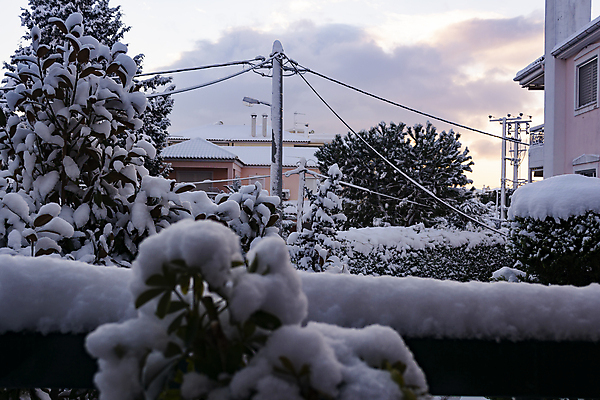 포토 JPG 해외이미지 나무 구름 외관 계절 겨울 자연 하늘 주택 풍경 사람없음 야외 건물 냉동 추위 흰색 재산 그리스 서리 아테네 이웃 1월 뒤뜰 폭설 눈내림 해외202004 해외포토 자연요소 식물 건축물 유럽 컬러 눈_날씨 금융 날짜 자연재해 생태계 파일형식 이미지허브