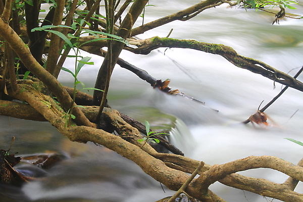 포토 JPG 해외이미지 나무 길 밧줄 여행 태국 자연 휴가 따뜻함 풍경 사람없음 야외 목재 초록색 물 여름 강 햇빛 태양 반사 맑음 흐름 흰색 개울 숲 위험 무서움 속도 철사 원시시대 리빙 옛날 해외202004 해외포토 자연요소 식물 계절 감정 아시아 줄 컬러 컨셉 재료 날씨 역사 생태계 파일형식 이미지허브
