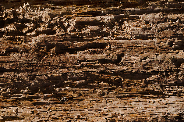 포토 JPG 해외이미지 벽 백그라운드 패턴 자연 표면 추상 건조 사람없음 목재 장식 세로 갈색 공백 수확 판넬 구멍 거친 자르기 묘사 질감 통나무 내추럴 그런지 수목 옛날 해외202004 해외포토 나무 컬러 무늬 농업 재료 모션 생태계 파일형식 이미지허브