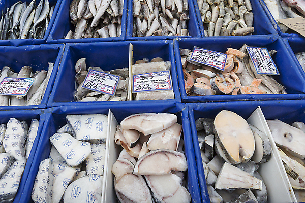 포토 JPG 해외이미지 음료 음식 건강 어류 사람없음 파란색 냉동 얼음 식사 추위 죽음 바 그룹 시장 먹기 레몬 허브 해산물 준비 날것 후추 로즈메리 흙더미 송어 줄서기 해외202004 해외포토 자연요소 식물 컬러 과일 모션 수중동물 흙 향신료 파일형식 더미 이미지허브