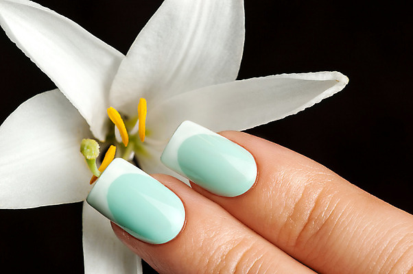 포토 JPG 해외이미지 손 손가락 미술 사람없음 장미 유행 화장품 손톱관리 손톱 데이지 돌봄 위생관리 아크릴 스타일 해외202004 해외포토 꽃 모션 재질 문화예술 관리 신체부위 뷰티 네일아트 파일형식 이미지허브