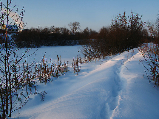 포토 JPG 해외이미지 나무 겨울 그림자 사람없음 마을 추위 도시 해외202004 해외포토 식물 계절 파일형식 이미지허브