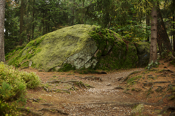 포토 JPG 해외이미지 나무 식물 공원 유럽 길 여행 자연 산 국립공원 이끼 풍경 사람없음 야외 초록색 평화 침묵 하이킹 가을 바위 소나무 황무지 분위기 숲 오솔길 9월 언덕 장면 마법 미로 거인 삼림지대 옛날 전국 화강암 해외202004 해외포토 계절 공공시설 나라 컬러 컨셉 레저 소리 암석 돌_바위 날짜 생태계 파일형식 이미지허브