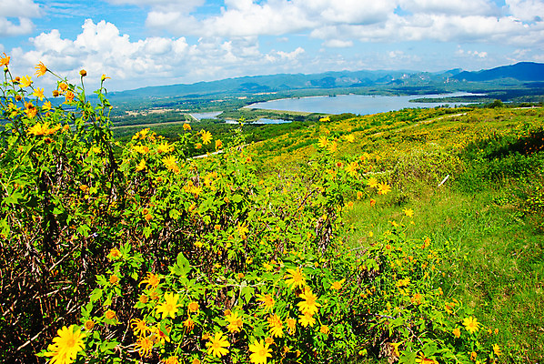 포토 JPG 해외이미지 나무 식물 계절 공원 꽃 도로 길 백그라운드 잎 벤치 건축양식 자연 하늘 휴식 새로움 거리 사람 풍경 잔디 사람없음 야외 목재 초록색 여름 파란색 빛 햇빛 태양 환경 정원 맑음 봄 산책 가을 도시 숲 장면 내추럴 해외202004 해외포토 자연요소 공공시설 건축 컬러 컨셉 의자 재료 교통시설 날씨 생태계 파일형식 이미지허브