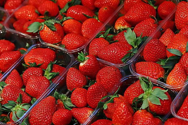 포토 JPG 해외이미지 계절 열매 음식 백그라운드 농업 과일 부분 딸기 쟁반 건강 사람없음 빨간색 초록색 여름 농작물 상자 상점 수확 신선 투명 시장 닫기 큼 컨테이너 플라스틱 각도 소매 내추럴 숙성 많음 해외202004 해외포토 식물 산업 컬러 컨셉 모션 재질 크기 파일형식 이미지허브