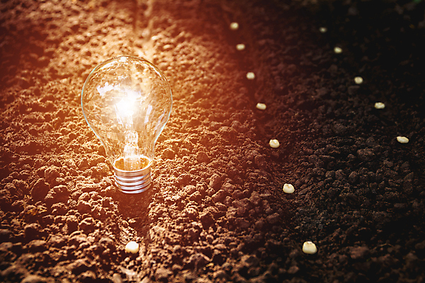 포토 JPG 해외이미지 나무 식물 손 백그라운드 컨셉 잎 농업 전구 자연 관리 사랑 옥수수 씨앗 사람없음 초록색 빛 햇빛 농장 새싹 환경 흙 에너지 수확 성장 아기 보호 원예 유지 내추럴 거름 돌봄 땅바닥 소셜 심기 해외202004 해외포토 감정 산업 컬러 모션 곡류 바닥 사람 취미 신체부위 태양 생태계 파일형식 이미지허브