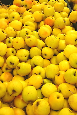 포토 JPG 해외이미지 라이프스타일 잡화 음식 조각 백그라운드 컨셉 농업 다이어트 채소 과일 비즈니스 자연 건강 사람없음 빨간색 컬러풀 노란색 상점 주스 수확 가을 신선 그룹 시장 달콤 사과 농부 다발 먹기 유기농 내추럴 멀티 채식주의자 특별함 혼자 많음 해외202004 해외포토 직업 웰빙 계절 산업 음료 컬러 모션 생활 맛 생태계 채식 파일형식 이미지허브