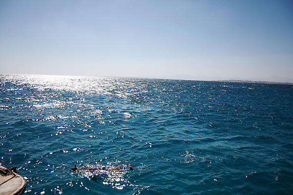 포토 JPG 해외이미지 구름 계절 모래 파도 바다 여행 백그라운드 자연 하늘 날씨 휴가 휴식 풍경 사람없음 야외 물 여름 파란색 빛 햇빛 태양 반사 우주 환경 맑음 흰색 만 서핑 장면 내추럴 파라다이스 수평선 해외202004 해외포토 자연요소 컬러 컨셉 수상스포츠 생태계 파일형식 이미지허브