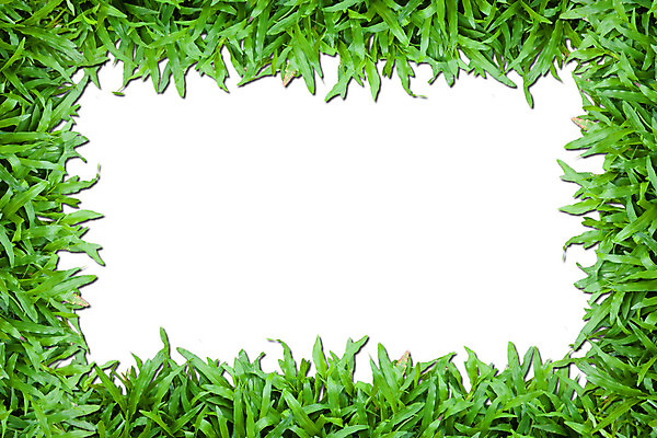 포토 JPG 해외이미지 식물 선 스포츠 백그라운드 컨셉 패턴 밭 골프 일러스트 공 자연 하늘 새로움 건강 사람 풍경 잔디 사람없음 야외 초록색 여름 파란색 태양 환경 정원 봄 활발 성장 질감 서식 조경 제비 내추럴 깊이 블러 그리너리 해외202004 해외포토 자연요소 계절 컬러 무늬 농업 조류 구기 생태계 파일형식 트랜드컬러 이미지허브