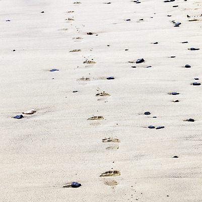 포토 JPG 해외이미지 디자인 길 모래 바다 여행 백그라운드 컨셉 패턴 오렌지 맨발 자연 휴가 휴식 사람 풍경 해변 사람없음 야외 모래사장 평화 자유 조약돌 인쇄 발자국 흔적 내추럴 양발 혼자 많음 각인 해외202004 해외포토 무늬 과일 자국 발 돌_바위 생태계 파일형식 이미지허브