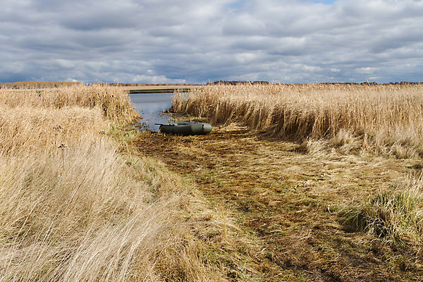 포토 JPG 해외이미지 호수 스포츠 하늘 갈대 사람없음 물 갈색 침묵 가을 습지 숲 사냥 장면 해외202004 해외포토 자연요소 식물 계절 컬러 소리 파일형식 이미지허브
