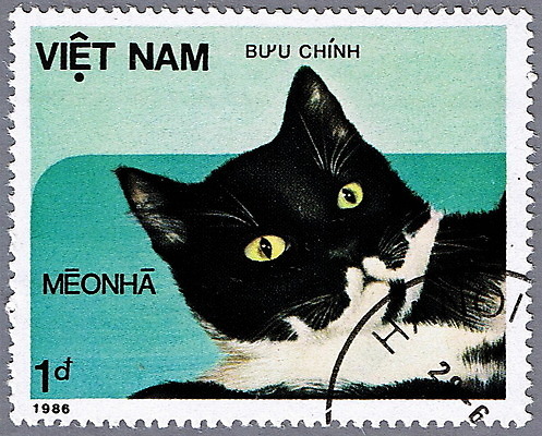 포토 JPG 해외이미지 동물 통신 포유류 봉투 주택 취미 사람없음 반려동물 머리 검은색 고양이 수확 신용카드 편지 수집 엽서 베트남 패키지 우표 고립 편지쓰기 해외202004 해외포토 컬러 농업 건물 신체부위 금융 동남아시아 기록 파일형식 이미지허브