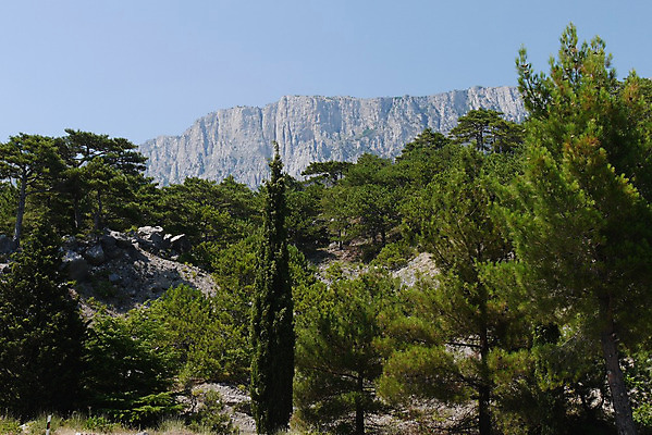 포토 JPG 해외이미지 나무 구름 공원 유럽 야생동물 여행 자연 하늘 산 파노라마 풍경 경사 사람없음 야외 초록색 여름 파란색 환경 맑음 봄 가을 소나무 정상 숲 언덕 장면 전나무 산악지대 삼림지대 절정 가문비나무 수평선 해외202004 해외포토 자연요소 식물 동물 계절 공공시설 나라 컬러 날씨 촬영기법 생태계 파일형식 이미지허브