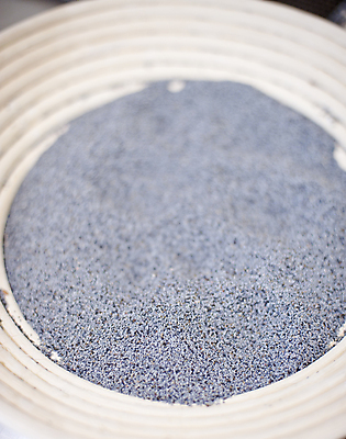 포토 JPG 해외이미지 접시 음식 백그라운드 농업 다이어트 채소 재료 건조 건강 요리 씨앗 사람없음 세로 쌓기 수확 흰색 신선 그룹 사발 닫기 낟알 가득함 순수 묘사 유기농 날것 양귀비 내추럴 채식주의자 해외202004 해외포토 식물 식기 웰빙 꽃 산업 컬러 컨셉 모션 사기그릇 채식 파일형식 이미지허브