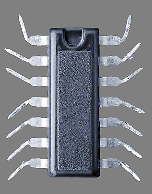 포토 JPG 해외이미지 곤충 안전 사람없음 전자제품 컴퓨터 벌레 위험 보안 거미 고립 해외202004 해외포토 동물 컨셉 파일형식 이미지허브